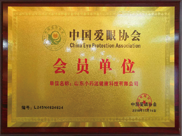 中国爱眼协会会员单位证书