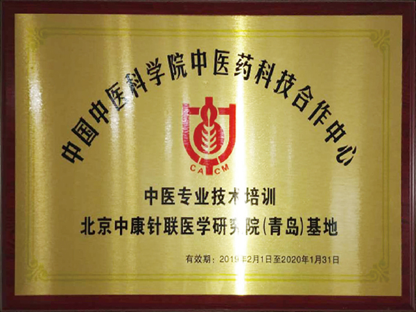 中医专业技术培训证书